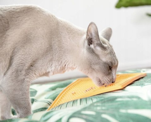 MATA ANTYSTRESOWA LICKIMAT SOOTHER JEŻYK MIĘKKA POMARAŃCZOWA