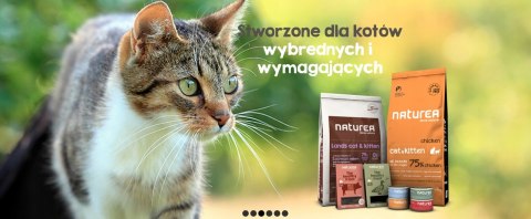 NATUREA ZESTAW 4 SMAKI x 85G PUSZKA BEZZBOŻOWA DLA KOT (Morszczuk & Jabłka, Pstrąg & Łosoś, Tuńczyk & Papaja, Dorsz & Tuńczyk)