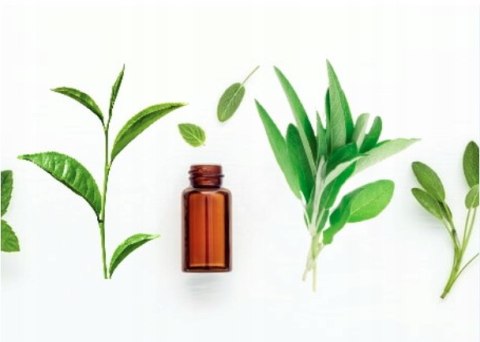 TOTOBI NATURALNY PŁYN DO CZYSZCZENIA USZU PIES KOT TOTOBI NATURALNY PŁYN DO CZYSZCZENIA USZU PIES KOT