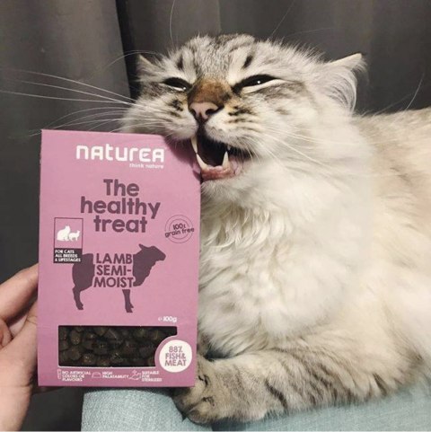 NATUREA KURCZAK BEZZBOŻOWE ZDROWE PRZYSMAKI 3X100G NATUREA KURCZAK BEZZBOŻOWE ZDROWE PRZYSMAKI 3X100G