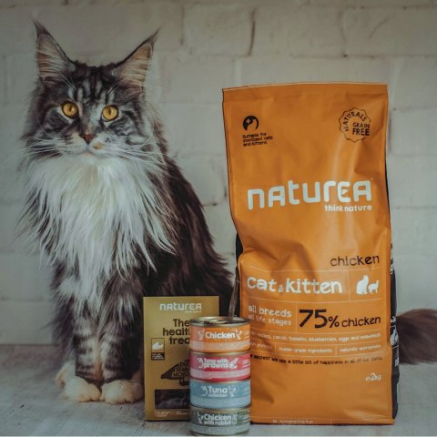 NATUREA KURCZAK BEZZBOŻOWE ZDROWE PRZYSMAKI 3X100G NATUREA KURCZAK BEZZBOŻOWE ZDROWE PRZYSMAKI 3X100G