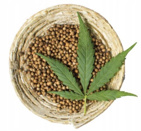 TRUE HEMP DENTAL STICK KONOPIE SKÓRA SIERŚĆ 3X125G
