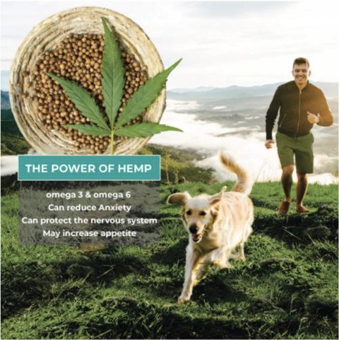 TRUE HEMP DENTAL STICK KONOPIE SKÓRA SIERŚĆ 3X125G
