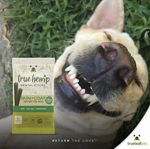TRUE HEMP DENTAL STICK KONOPIE SKÓRA SIERŚĆ 3X125G