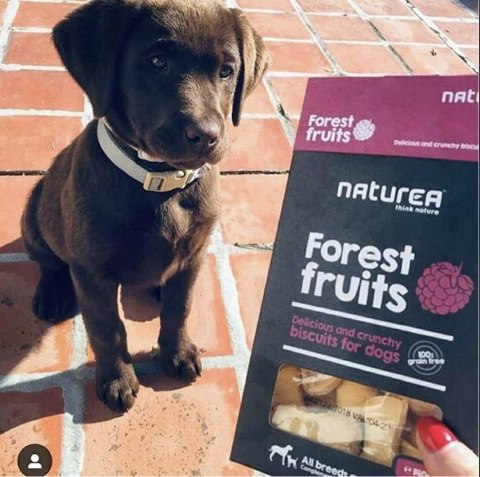 NATUREA JABŁKA Z CYNAMONEM BEZZBOŻOWE BISZKOPTY NATUREA JABŁKA Z CYNAMONEM BEZZBOŻOWE BISZKOPTY