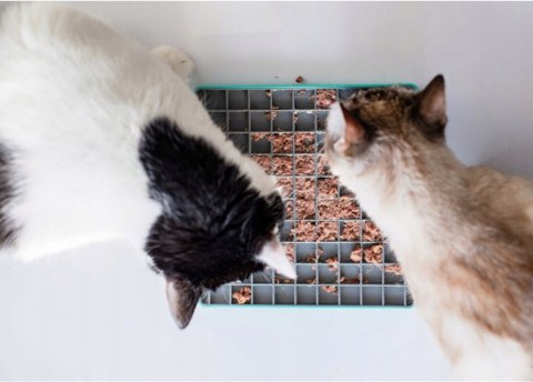 MATA LICKIMAT ANTYSTRES CLASSIC FELIX DLA KOTA NIEBIESK MATA LICKIMAT ANTYSTRES CLASSIC FELIX DLA KOTA NIEBIESK