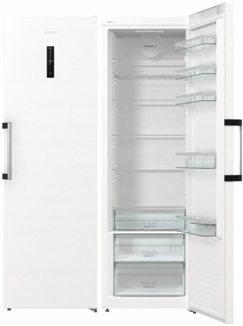 CHŁODZIARKA GORENJE R619EAW6