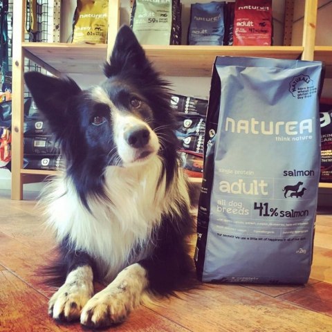 NATUREA NATURALS MARE MONOBIAŁKOWA KARMA DLA SZCZENIĄT PSÓW ŁOSOŚ 12 KG NATUREA NATURALS MARE MONOBIAŁKOWA KARMA DLA SZCZENIĄT PSÓW ŁOSOŚ 12 KG