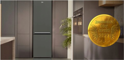 CHŁODZIARKA BEKO RCSA300K40GN 54 cm Min Frost, Oświetlenie LED