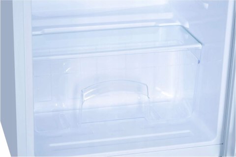 CHŁODZIARKA BEKO LS9052WN 88 L Oświetlenie LED CHŁODZIARKA BEKO LS9052WN 88 L Oświetlenie LED