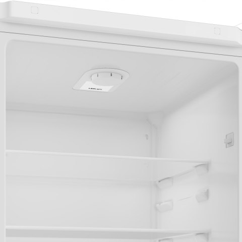 LODÓWKA BEKO RCSA300K40WN 291 L Oświetlenie LED
