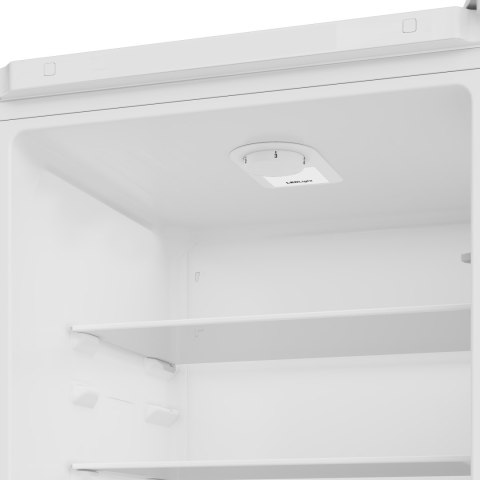 LODÓWKA BEKO RCSA300K40WN 291 L Oświetlenie LED