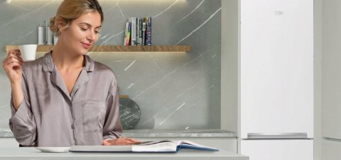 LODÓWKA BEKO RCSA300K40WN 291 L Oświetlenie LED