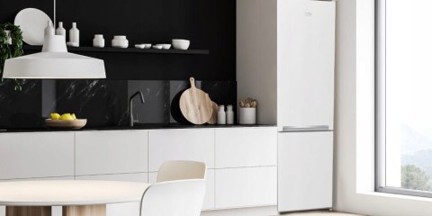 LODÓWKA BEKO RCSA300K40WN 291 L Oświetlenie LED