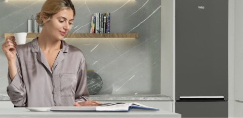 LODÓWKA BEKO RCSA300K40SN 291 L Oświetlenie LED, Uchwyt zintegrowany LODÓWKA BEKO RCSA300K40SN 291 L Oświetlenie LED, Uchwyt zintegrowany