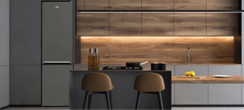 LODÓWKA BEKO RCSA300K40GN 291 L Uchwyt zintegrowany, Oświetlenie LED