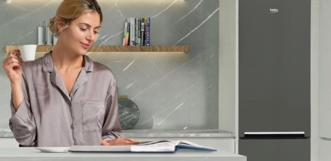 LODÓWKA BEKO RCSA300K40GN 291 L Uchwyt zintegrowany, Oświetlenie LED