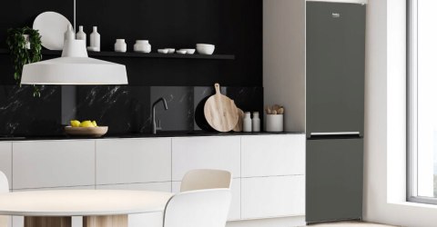 LODÓWKA BEKO RCSA300K40GN 291 L Uchwyt zintegrowany, Oświetlenie LED
