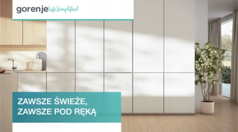 ZAMRAŻARKA DO ZABUDOWY GORENJE FNCI517E41WF 235 L No Frost, Inwerter, Wi-Fi