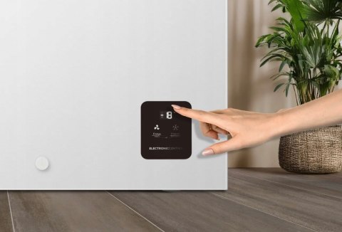 ZAMRAŻARKA WOLNOSTOJĄCA GORENJE FH30EAW 297 L Fast Freeze, Oświetlenie LED