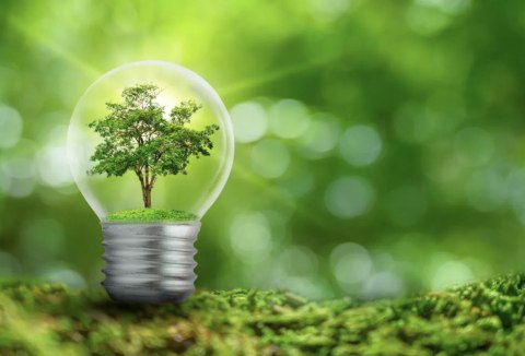 ZAMRAŻARKA WOLNOSTOJĄCA GORENJE FH30EAW 297 L Fast Freeze, Oświetlenie LED