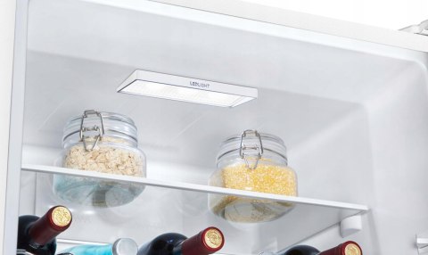 LODÓWKA GORENJE N619EAW4 304 L No Frost Plus, Oświetlenie Led