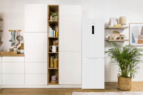 LODÓWKA GORENJE N619EAW4 304 L No Frost Plus, Oświetlenie Led