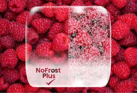 LODÓWKA GORENJE N619EAW4 304 L No Frost Plus, Oświetlenie Led