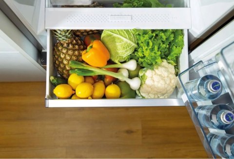 LODÓWKA GORENJE N619EAW4 304 L No Frost Plus, Oświetlenie Led