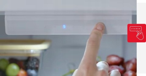 LODÓWKA AMICA FK3495.3FBAA 250 L Total No Frost, Oświetlenie LED