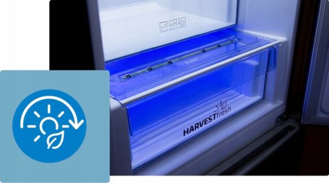 LODÓWKA BEKO B3RGNA354HXB1 351 L No Frost, Oświetlenie LED, Aero Flow