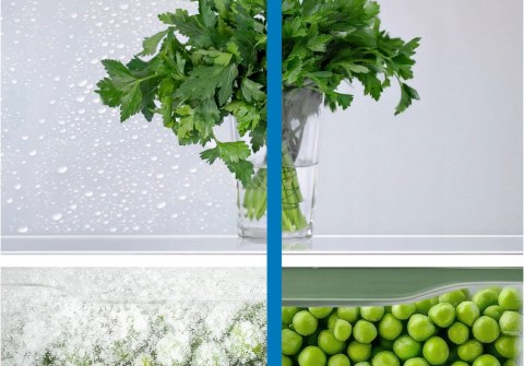 LODÓWKA BOSCH KGN39OCAF 363 L Total No Frost, Vita Fresh XXL, Inwerter