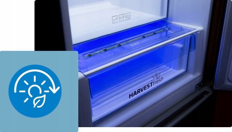 LODÓWKA DO ZABUDOWY BEKO BCNE400E50SHN 370 L No Frost, Inverter, Bluetooth