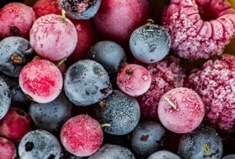 LODÓWKA GORENJE NRM819E61X 311 L Total No Frost Inwerter