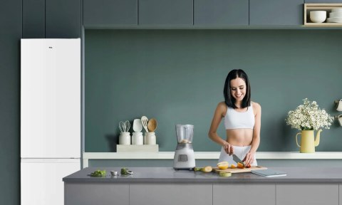 LODÓWKA TCL RF260BWE0 260 L Inverter, Fast Cooling, Fast Freeze