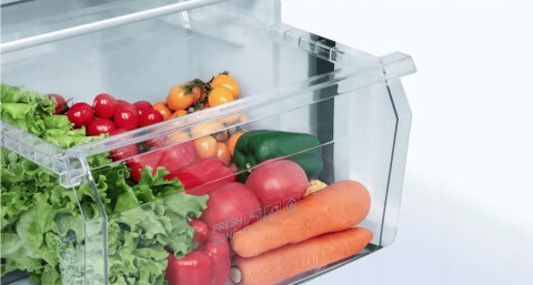 LODÓWKA TCL RF260BWE0 260 L Inverter, Fast Cooling, Fast Freeze