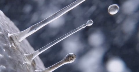 PRALKA SAMSUNG WW11DB8B95GBU4 11 kg 1400 obr Inverter, Wi-Fi