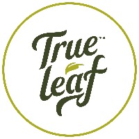 TRUE LEAF